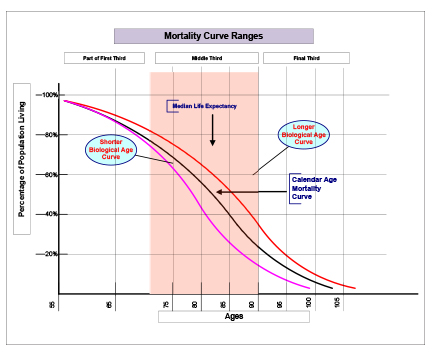 chronological age vs physiological age